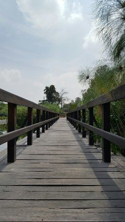 Toreo Parque Central